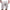 Men Casual Cargo Shorts