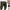 Men Casual Cargo Shorts