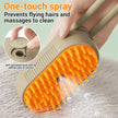 3 In 1 Pet Steam Brush Electric Spray Grooming Comb