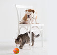 Cat Wicked Ball Toy Intelligent Self Rotating Ball