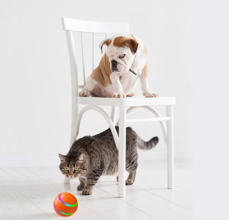 Cat Wicked Ball Toy Intelligent Self Rotating Ball