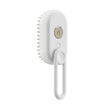 3 In 1 Pet Steam Brush Electric Spray Grooming Comb