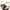 Silicone Massage Brush Cleaning Tool Comb For Pets